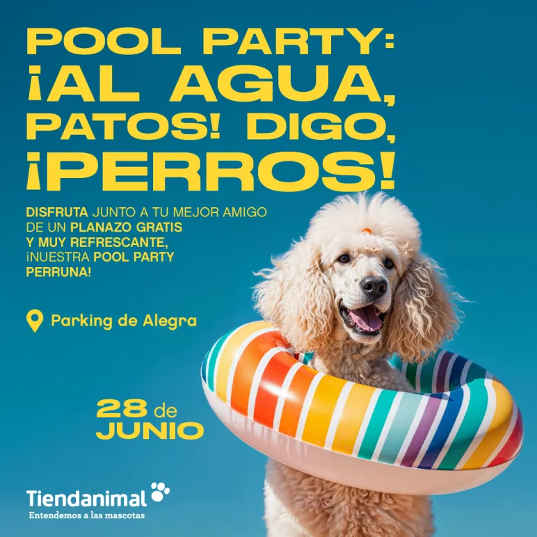pool party perros